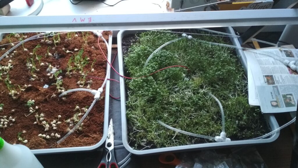 Laistīšanas caurules un augsnes mitruma sensori