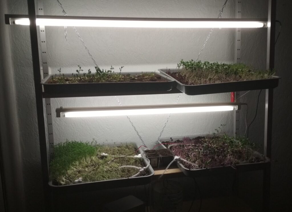 Vertikālā sistēma