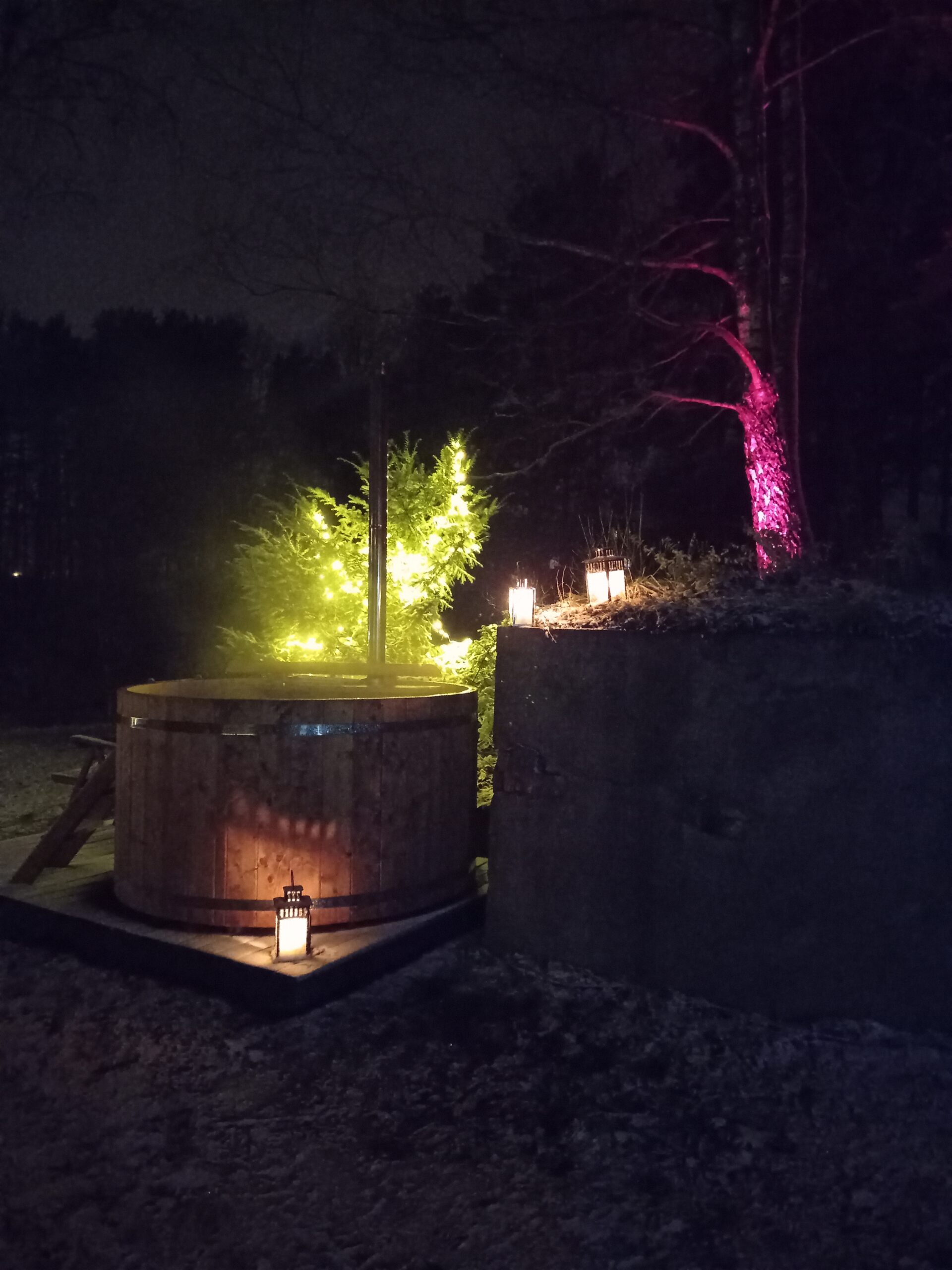 Izgaismots fons - koki un lampiņas blakus kokā