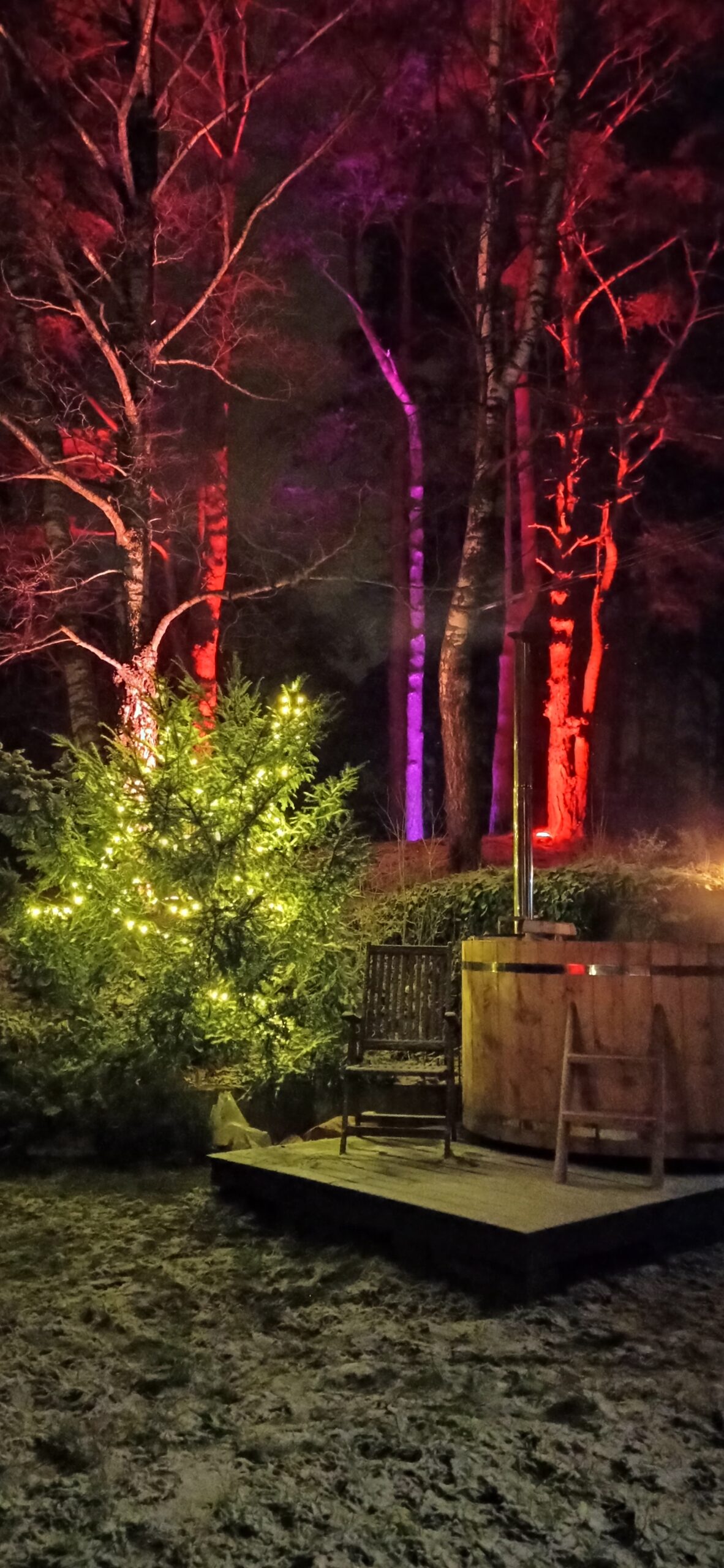 Izgaismots fons - koki un lampiņas blakus kokā