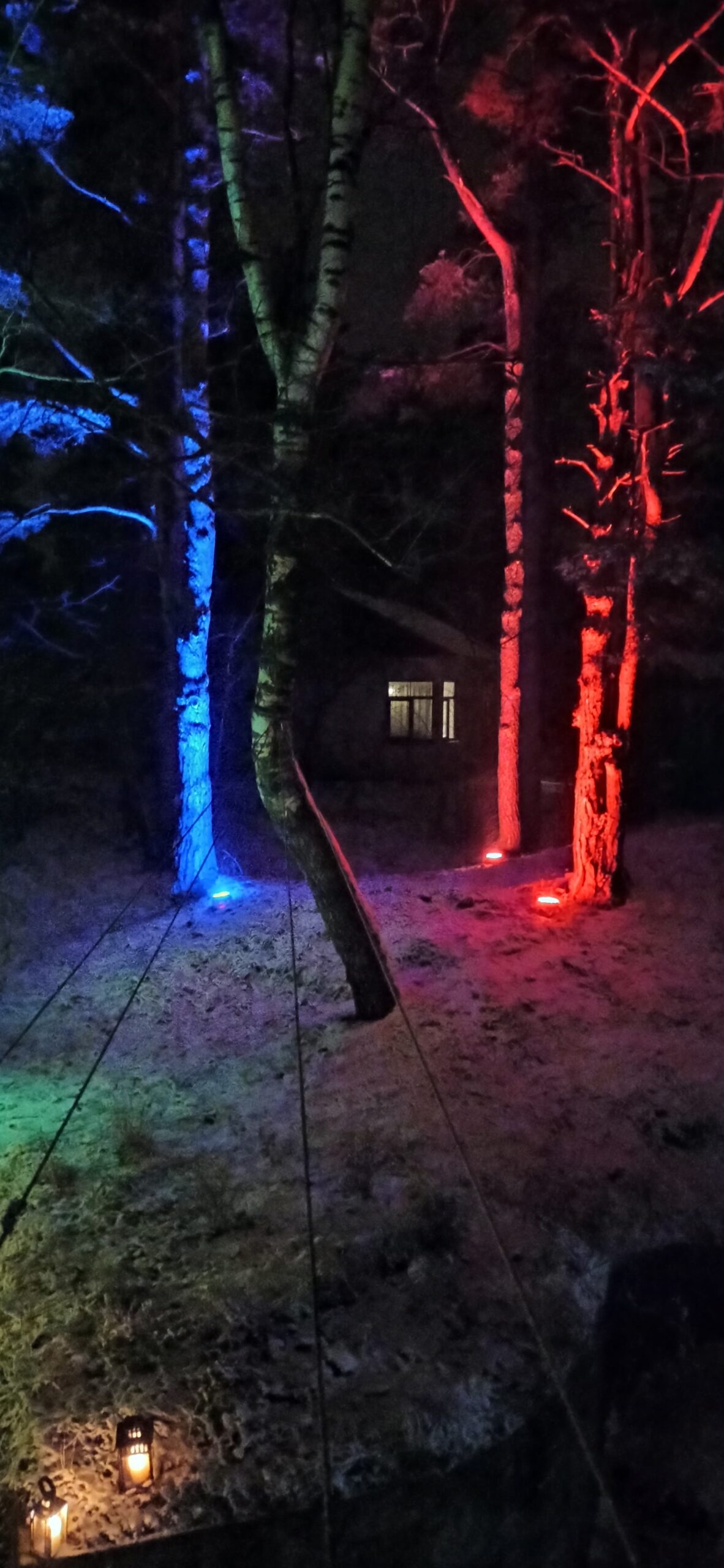 Izgaismots fons - koki