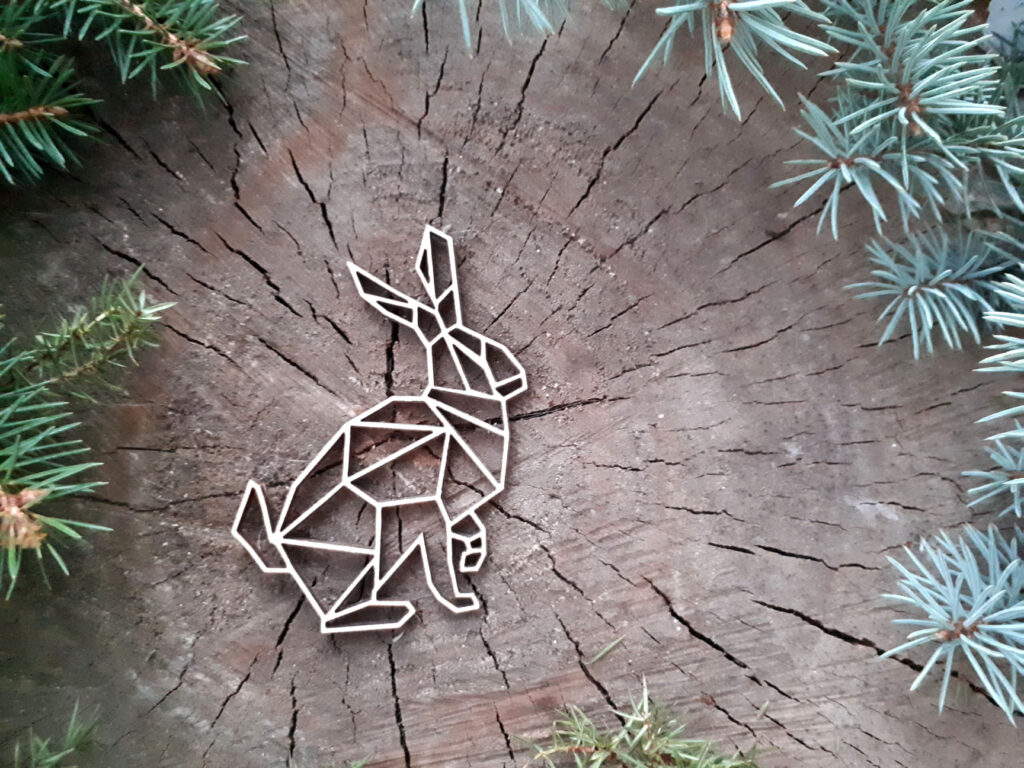 268287676_4558607274249610_5356693194821822158_n