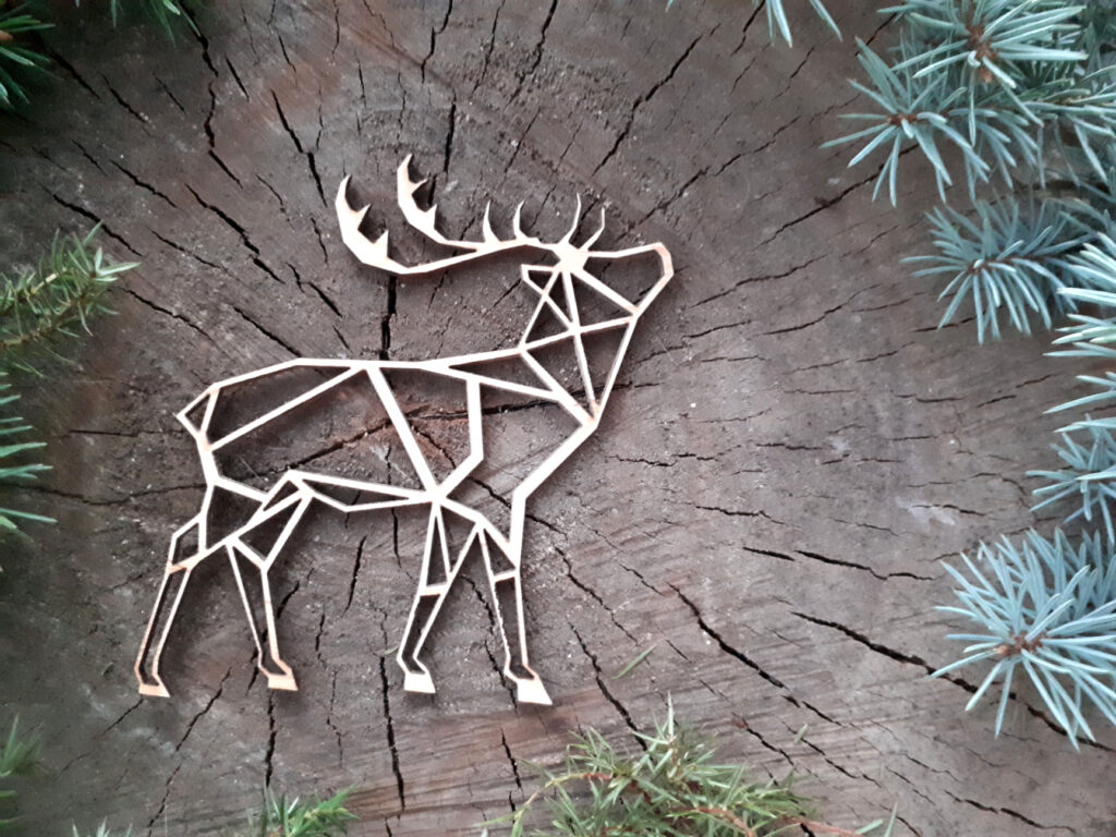 269631519_4558607127582958_497515177299533211_n