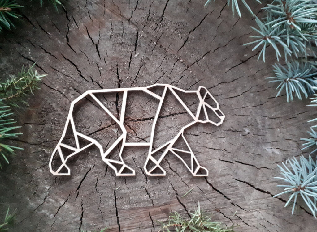 269677381_4558607294249608_7298932934956653974_n