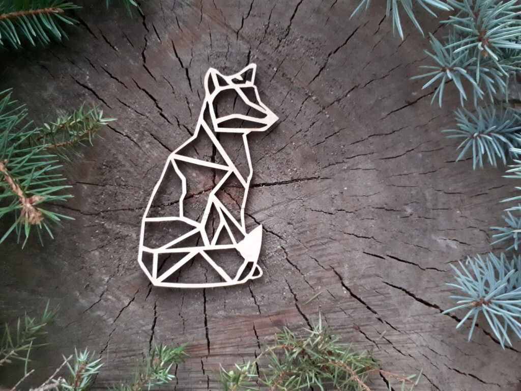 269679050_4558607767582894_2232293174234223046_n