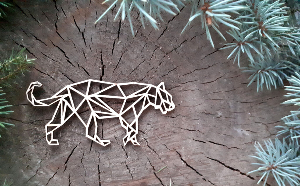 269703736_4558607087582962_3951884131440956223_n